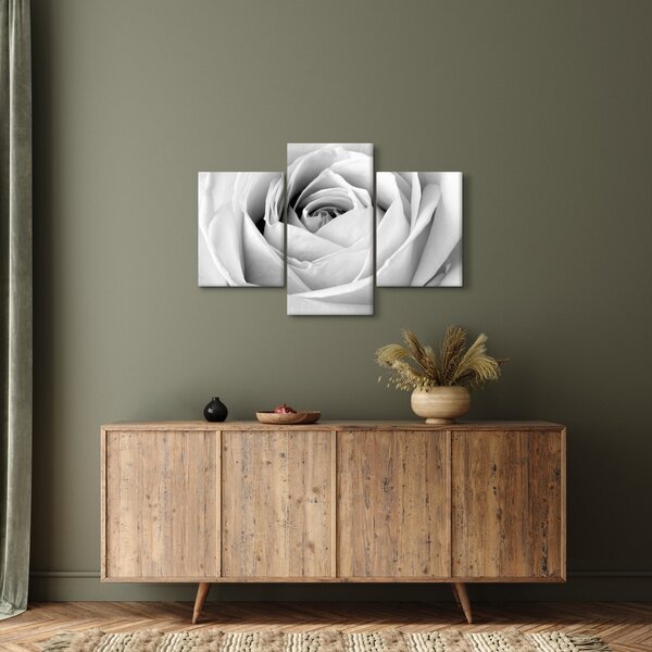 Tablou - Detailu de floare de trandafir (90x60 cm)