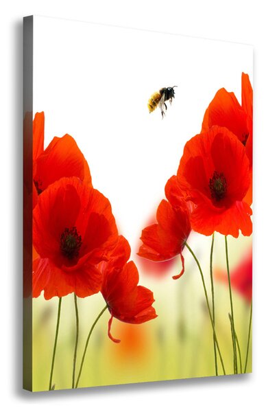 Pictură pe pânză wildflowers maci