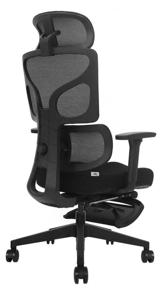 AEROFORM PRO – Scaun Ergonomic Premium, Suport Lombar cu arc, Cotiere 3D, Tetieră reglabilă, Șezut glisant, Suport pentru picioare extensibil, Negru