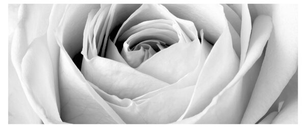 Tablou - Detailu de floare de trandafir (120x50 cm)
