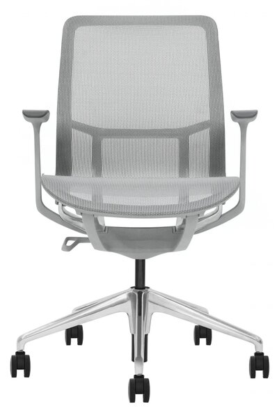 EMILY GREY – Scaun ergonomic premium, Mesh respirabil 4D, înclinare cu blocare, înălțime reglabila, cadru din nylon, bază din aluminiu, Gri