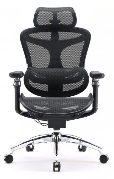 Scaun Ergonomic SIHOO Doro C300 Pro M101, Suport Lombar Adaptiv Inteligent, Spătar Reglabil pe Înălțime, Tetieră 3D, Cotiere 6D PU, Șezut Glisant, Reclinare 135°, Mesh, Negru