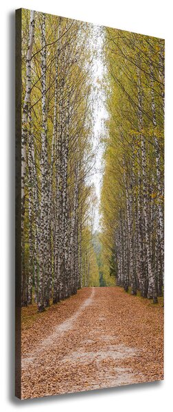 Print pe canvas pădurea de mesteacăn