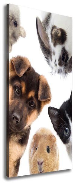 Print pe pânză Animale de companie