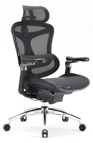 Scaun Ergonomic SIHOO Doro C300 Pro M101, Suport Lombar Adaptiv Inteligent, Spătar Reglabil pe Înălțime, Tetieră 3D, Cotiere 6D PU, Șezut Glisant, Reclinare 135°, Mesh, Negru