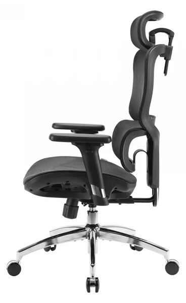 Scaun ergonomic SIHOO M56B-V2-M101, Suport Lombar Dinamic 3D, Tetieră 3D, Cotiere 3D, Înclinare 125°, Bază Metalică Cromată, Mesh, Negru