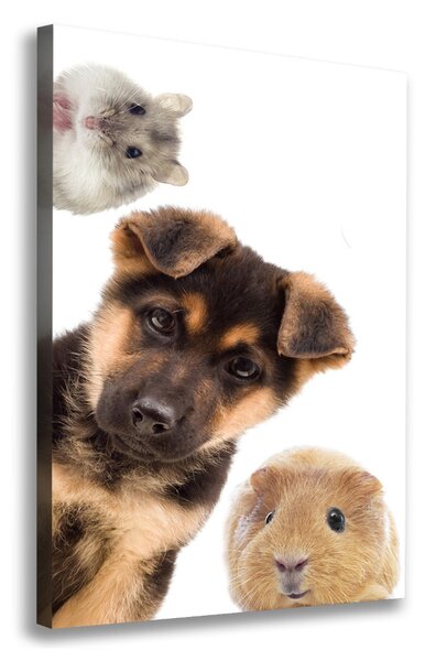 Pictură pe pânză Animale de companie