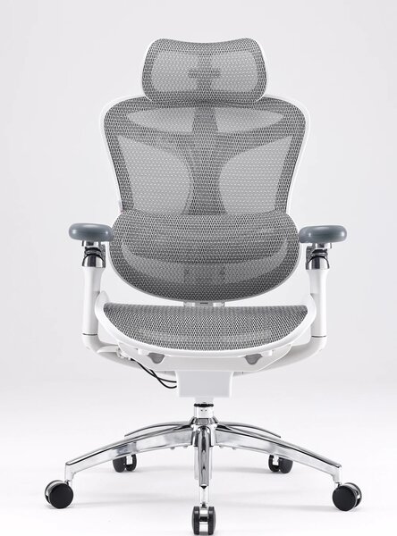 Scaun Ergonomic SIHOO Doro C300 Pro M102, Suport Lombar Adaptiv Inteligent, Spătar Reglabil pe Înălțime, Tetieră 3D, Cotiere 6D PU, Șezut Glisant, Reclinare 135°, Mesh, Gri