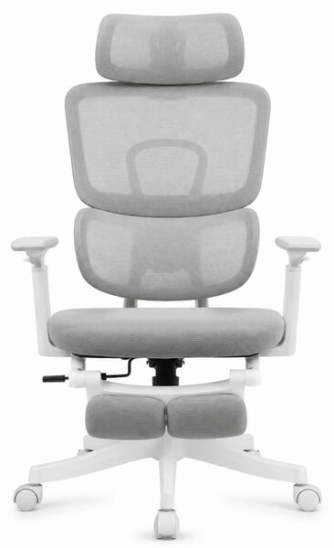Scaun Ergonomic Premium cu Suport pentru Picioare, Reclinare 145°, Tetieră Reglabilă, Cotiere 3D, Suport Lombar Elastic și Șezut cu adâncime reglabilă, Gri