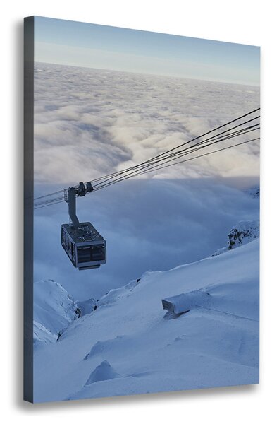 Print pe canvas Rollercoaster