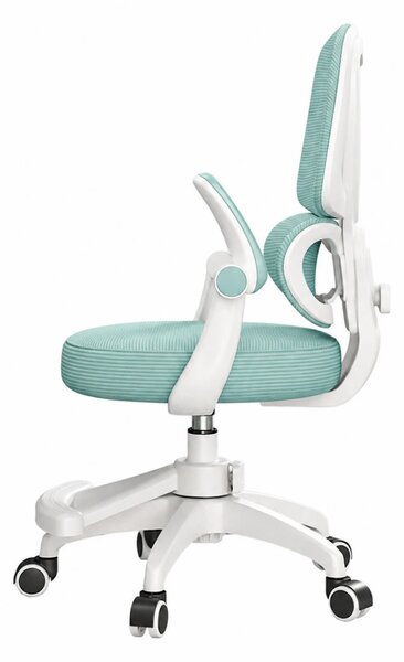 ErgoKids Flexi 608 – Scaun Ergonomic pentru Copii Reglabil, Spatar Dublu cu Suport Lombar, Cotiere Rabatabile, Suport pentru Picioare, Alb/Albastru