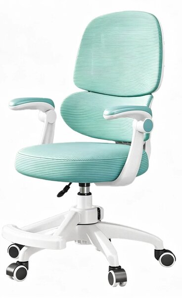 ErgoKids Flexi 608 – Scaun Ergonomic pentru Copii Reglabil, Spatar Dublu cu Suport Lombar, Cotiere Rabatabile, Suport pentru Picioare, Alb/Albastru