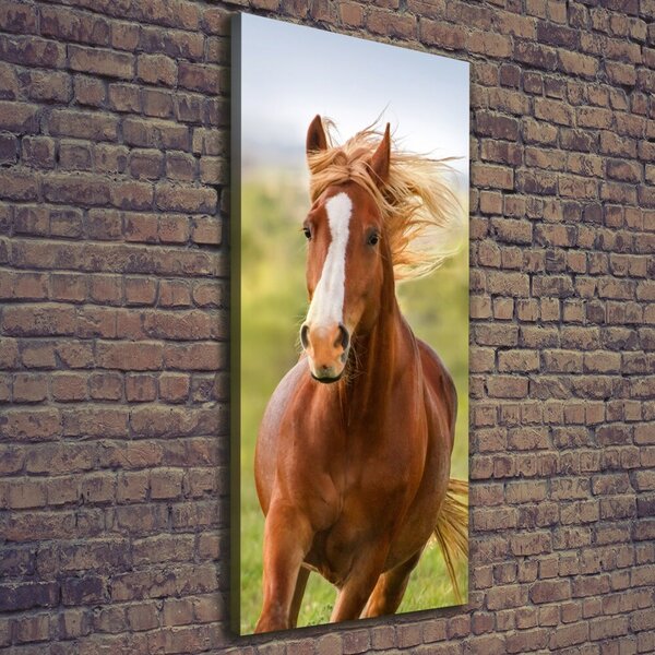 Imprimare tablou canvas Un cal în galop