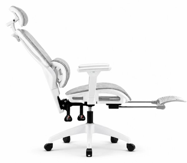 Scaun ergonomic, suport lombar dinamic, tetieră 3D, cotiere 3D, umeras, suport picioare, pivotant, Mesh, Alb/Gri