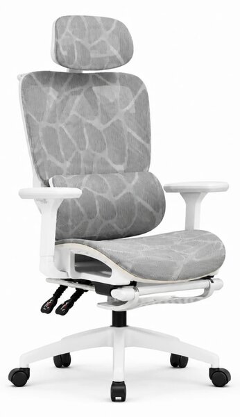 Scaun ergonomic, suport lombar dinamic, tetieră 3D, cotiere 3D, umeras, suport picioare, pivotant, Mesh, Alb/Gri