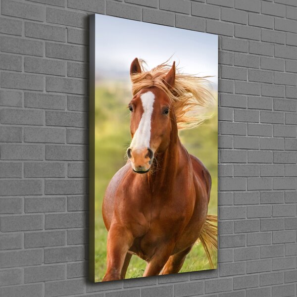 Imprimare tablou canvas Un cal în galop