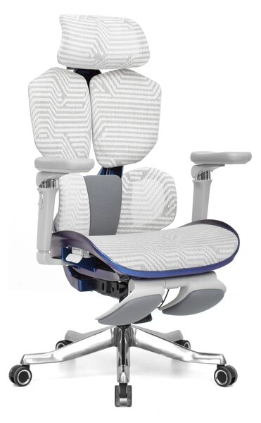 Scaun Ergonomic Premium AirMesh Elite X6D – Cotiere 6D, Suport Lombar Reglabil, Tetieră 4D, Sezut Translatie, Reclinare, Suport Picioare, Mesh, Gri/Colorful