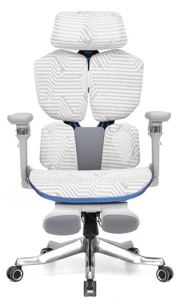 Scaun Ergonomic Premium AirMesh Elite X6D – Cotiere 6D, Suport Lombar Reglabil, Tetieră 4D, Sezut Translatie, Reclinare, Suport Picioare, Mesh, Gri/Colorful