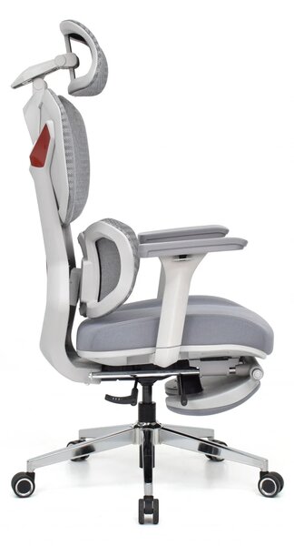Scaun Ergonomic ProMesh X4D – Tetieră 4D, Suport Lombar Reglabil, Cotiere 4D, Sezut Translatie, Reclinare, Suport Picioare, Mesh, Gri