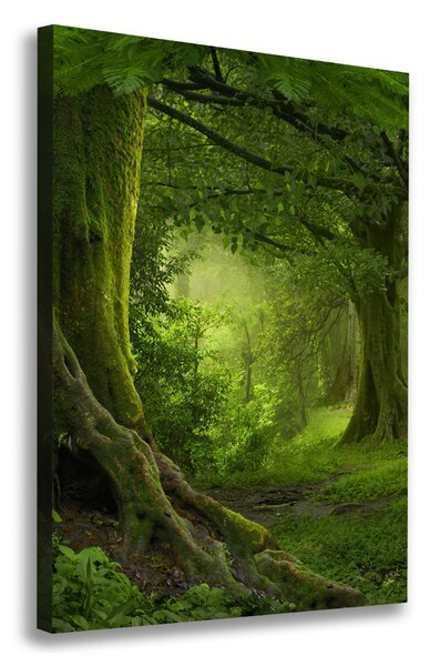 Tablou pe pânză canvas jungla tropicala