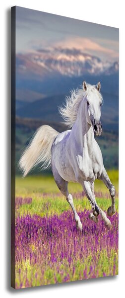 Tablouri tipărite pe pânză cal alb în galop