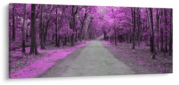 Tablou - drum prin parc (120x50 cm)