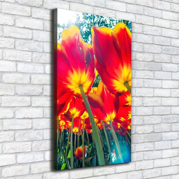 Imprimare tablou canvas lalele rosii