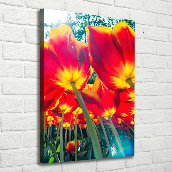 Imprimare tablou canvas lalele rosii