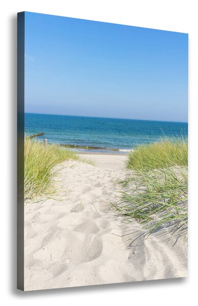 Tablou canvas dune de coastă