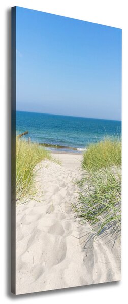 Tablou canvas dune de coastă