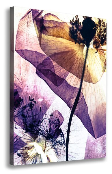 Tablou canvas Maki