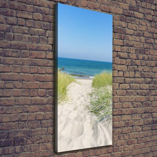 Tablou canvas dune de coastă