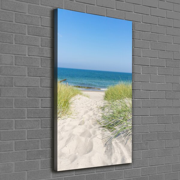 Tablou canvas dune de coastă