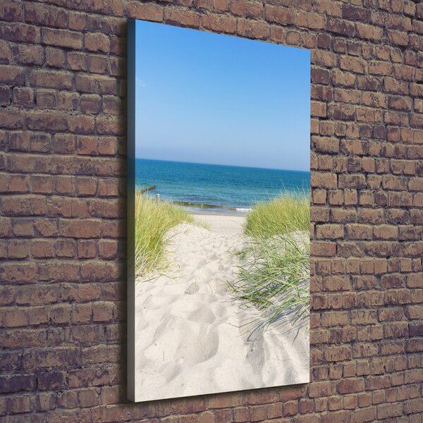 Tablou canvas dune de coastă