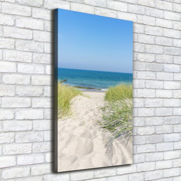 Tablou canvas dune de coastă