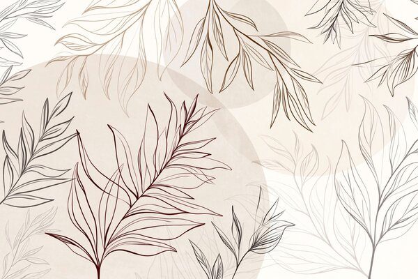 Tapet Desene minimaliste în stil line art reprezentând frunze și vegetație tropicală, forme circulare, Imagini de fundal unice, w10111v1 : Uwalls.ro