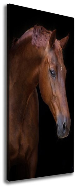Tablou canvas Portret de un cal