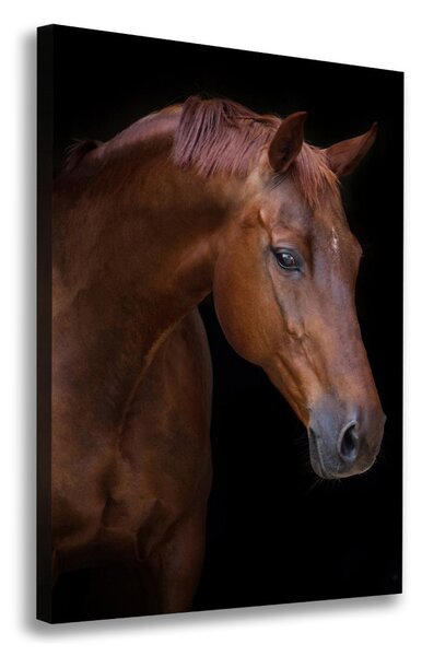 Tablou canvas Portret de un cal