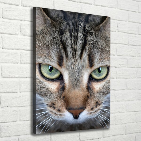 Imprimare tablou canvas ochi de pisica