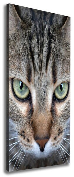 Imprimare tablou canvas ochi de pisica