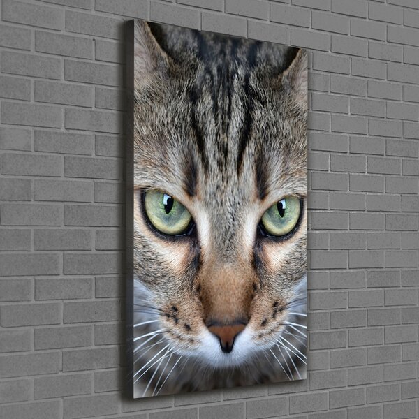 Imprimare tablou canvas ochi de pisica