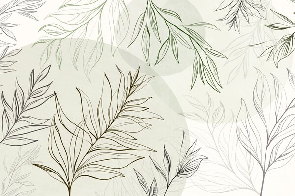 Tapet Desene minimaliste în stil line art reprezentând frunze și vegetație tropicală, forme circulare, Imagini de fundal unice, w10111v2 : Uwalls.ro