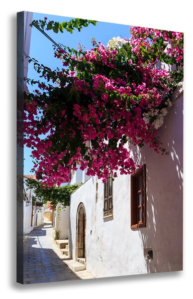 Tablou canvas Rhodes Grecia