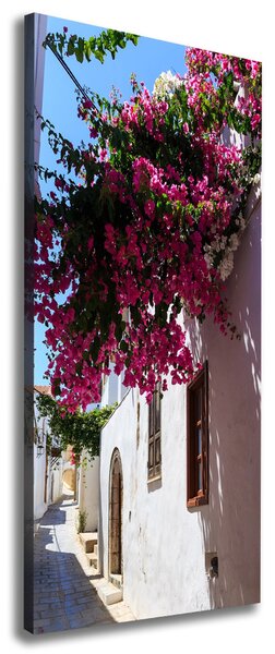 Tablou canvas Rhodes Grecia