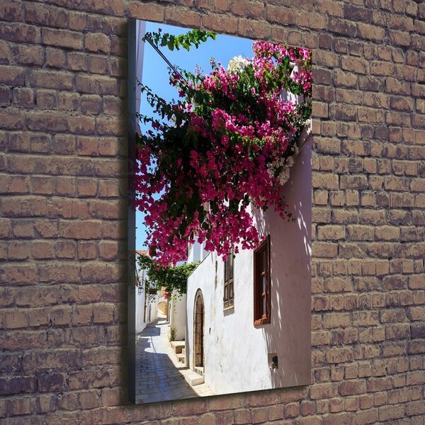 Tablou canvas Rhodes Grecia