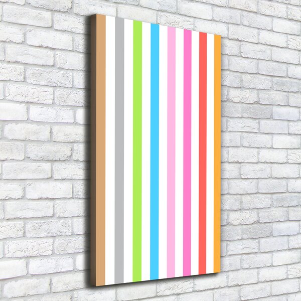 Tablou canvas dungi colorate