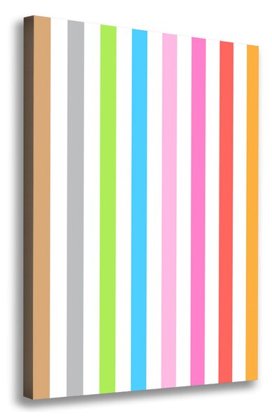 Tablou canvas dungi colorate