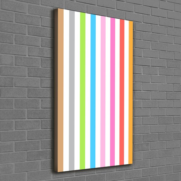 Tablou canvas dungi colorate