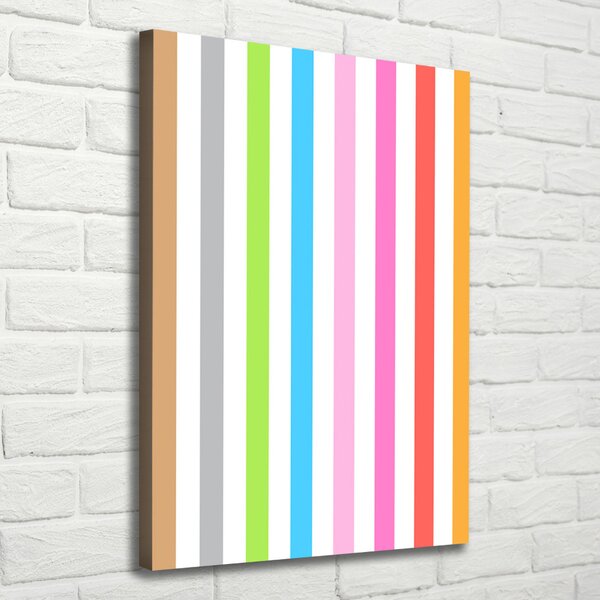 Tablou canvas dungi colorate