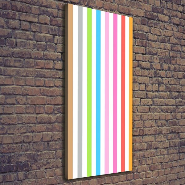 Tablou canvas dungi colorate